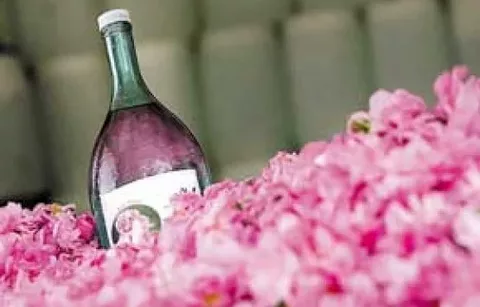 تصویر 2 از قیمت خرید عرق گلاب اصل + فروش ویژه